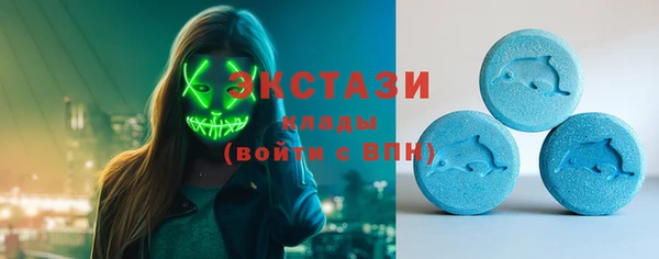 шишки Богородск