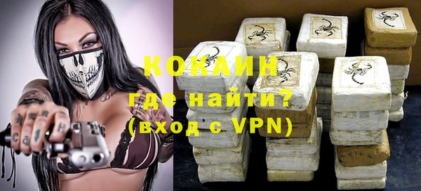 шишки Богородск