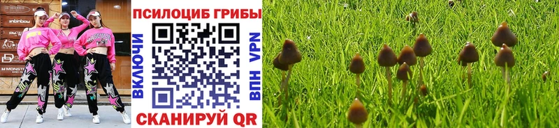 Галлюциногенные грибы MAGIC MUSHROOMS  OMG ТОР  Олёкминск 