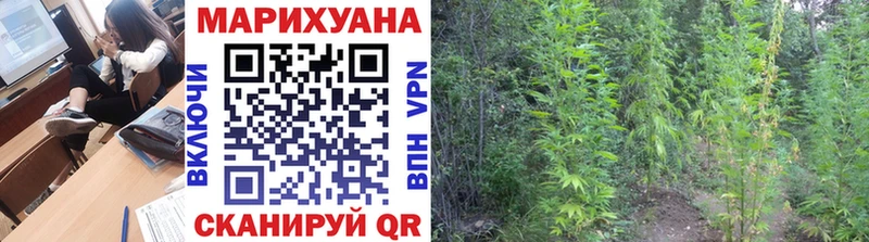 как найти наркотики  Олёкминск  Конопля THC 21% 